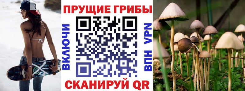 цена наркотик Катайск Псилоцибиновые грибы Cubensis